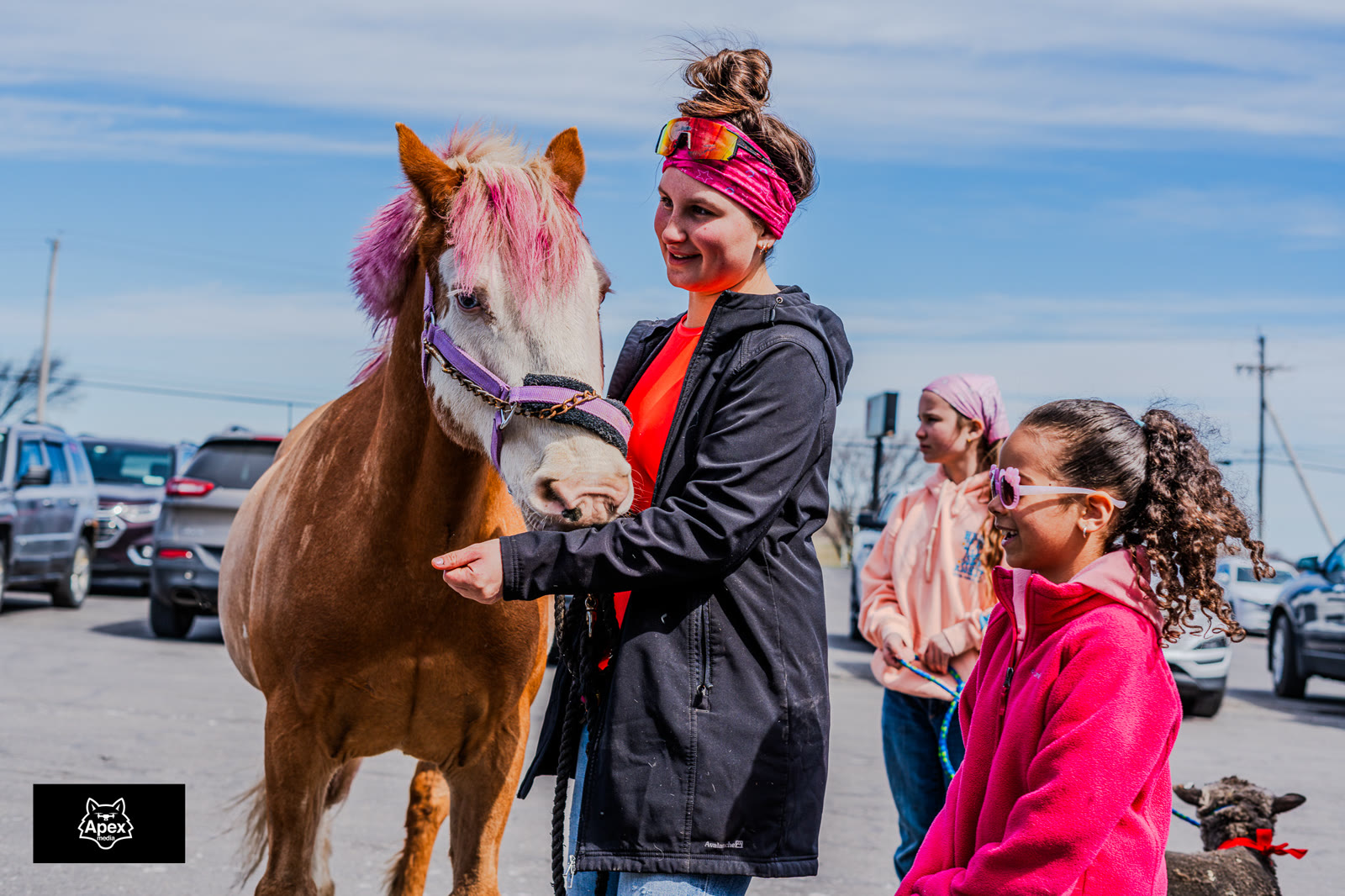 Pink-mane pony being fed a treat by a child at the Bangor Dog Shelter event
