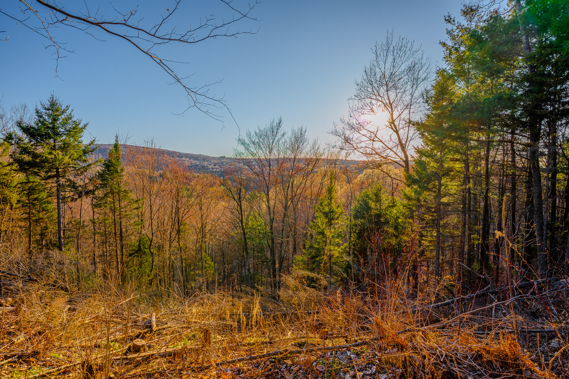 Hilltop vista of rolling Adirondack hills at sunrise